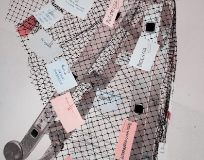 En torno a la noviolencia: vivencias y reflexiones